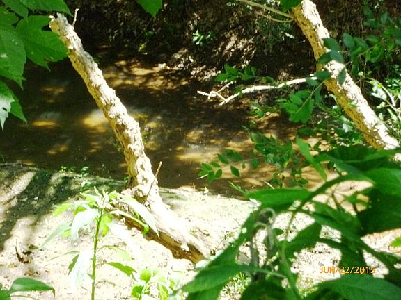 Creek on property line.
