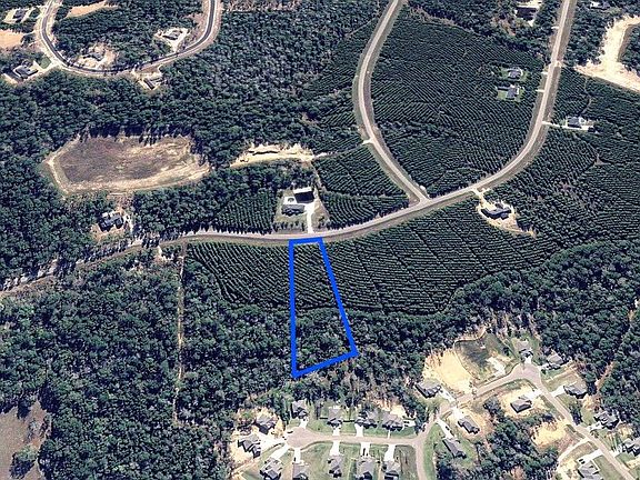 3rd image of 15751 Ridge Rock Rd Lot 2