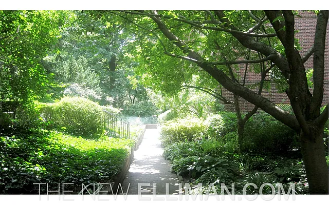 Sold by Douglas Elliman | media 2