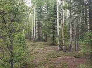 Lot 4-6 8th Street, Jasper, CO 81132