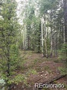 Lot 4-6 8th Street, Del Norte, CO, 81132