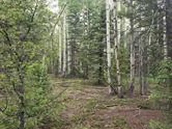 Lot 4-6 8th Street, Jasper, CO 81132