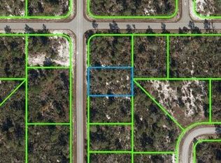 332 Galapagos Ave NE, Lake Placid, FL 33852