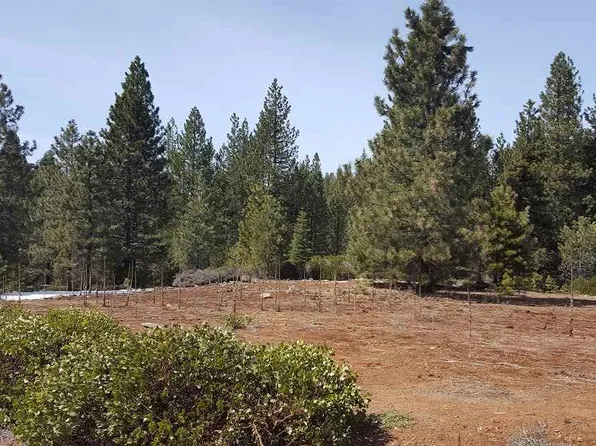 380 Bailey Creek Dr, Westwood, CA 96137