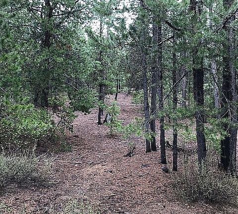 4th image of 0 Emerald Meadows Way Lot 12