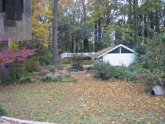 backyard in the fall