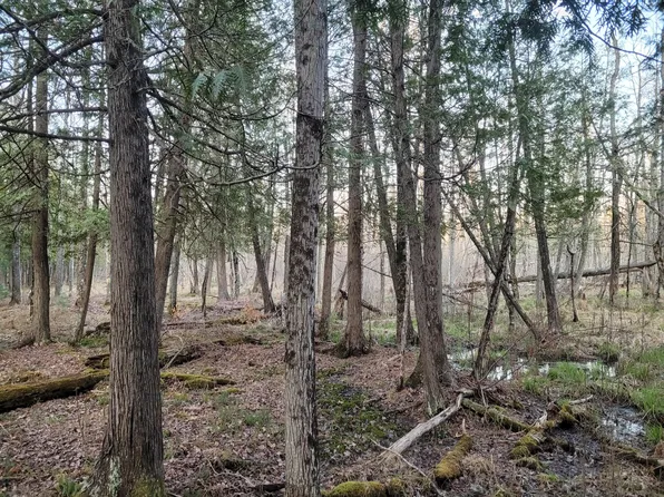 V/l Old #M-63, Luther, MI 49656