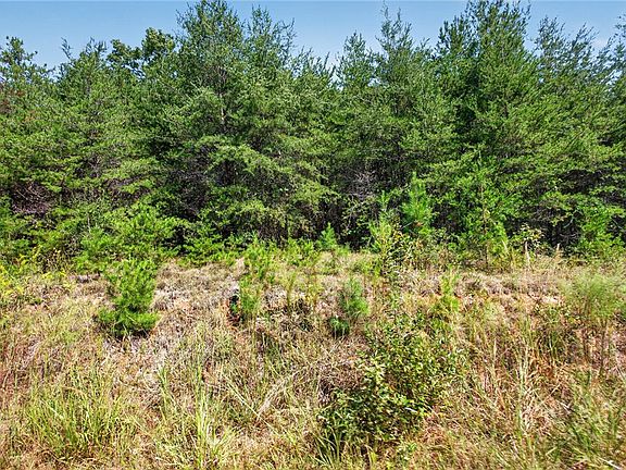 4th image of TRACT 9C Welcome Church Rd