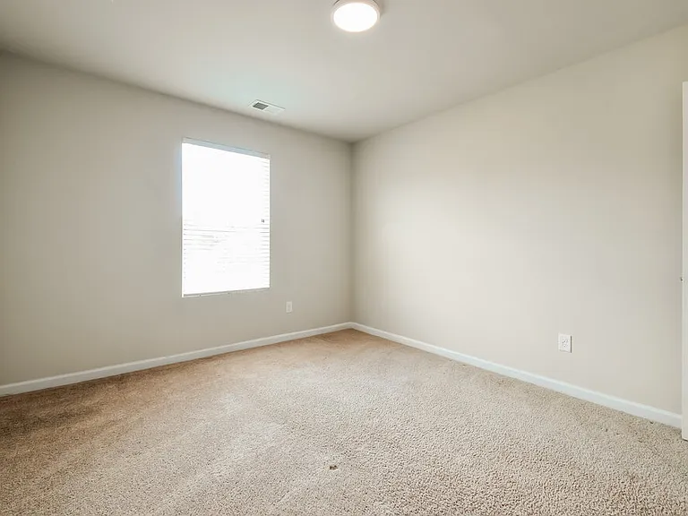 307 Hamilton Pointe Dr — Photo 12