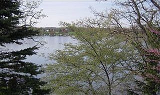 3rd image of 10754 Stoney Point Dr
