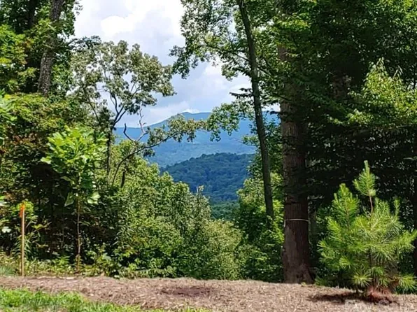11 Hickory Top Ln, Asheville, NC 28805