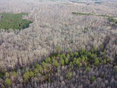 0 Hood Ln, Cedar Grove, TN, 38321