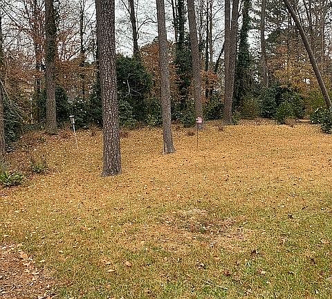 back yard