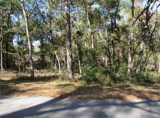 6733 E Hampton Ln, Inverness, FL 34452