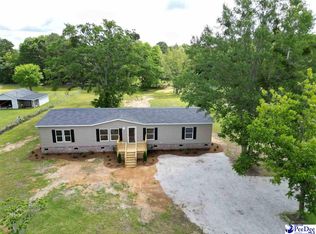 1229 Old Millpond Rd, Darlington, SC 29540