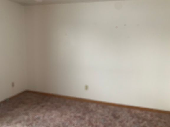 5th image of 100 Buck St