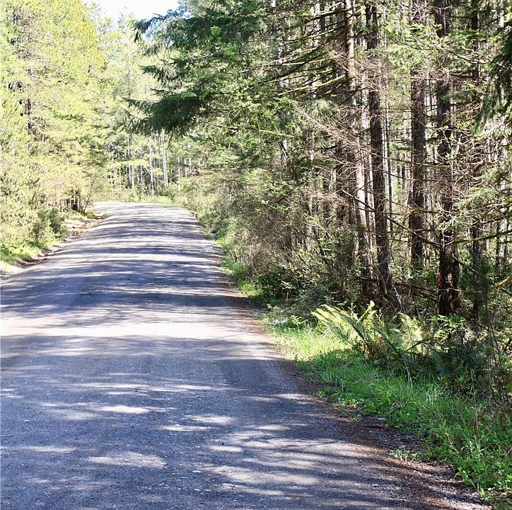 1st image of 0 NE Toonerville Drive