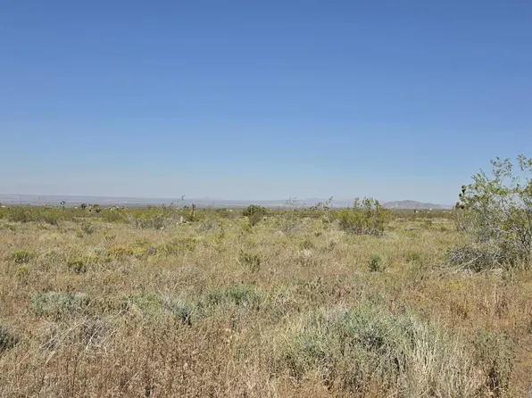 175th Street East Ave #W10, Llano, CA 93544