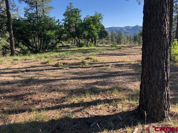 61/16 Ivan's/ George's Court, Pagosa Springs, CO 81147