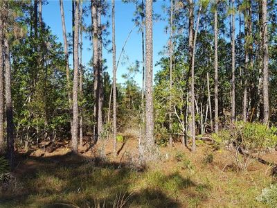 East Ave, DeLeon Springs, FL, 32130