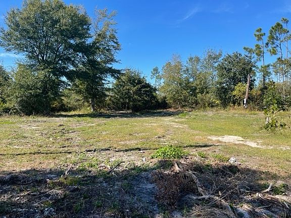 3rd image of 453 Palmetto Dr