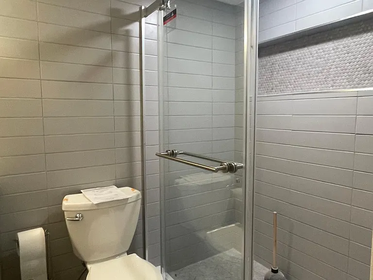 Walk in shower with wall to wall niche.