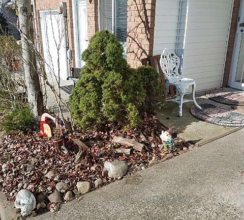 3rd image of 97 Aspen Knolls Way