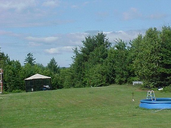 back yard
