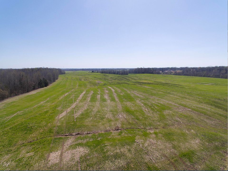 2nd image of 0 Davidson Rd