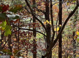 0 Brenda Ln, Basye, VA 22810