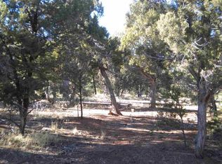 5090 Tosca Cir, Show Low, AZ 85901