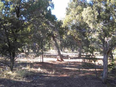 5090 Tosca Cir, Show Low, AZ, 85901