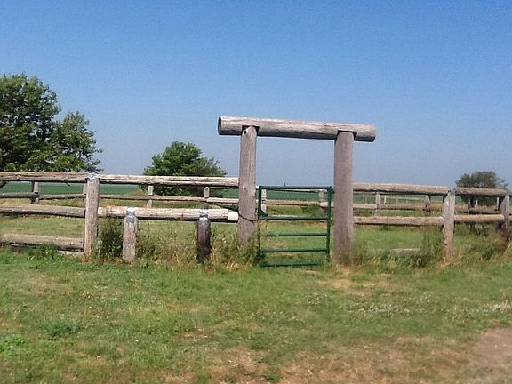 Corral 