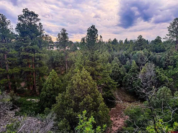 190 Hummingbird Trail, Ridgway, CO 81432