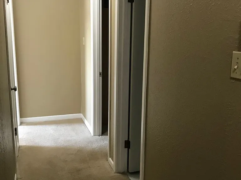 212 Bell Downs Dr — Photo 17