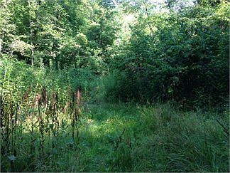 5th image of 1555 Seven Mile Dr