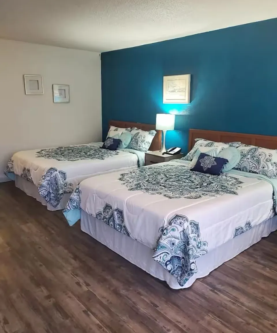Studio, 343 sqft, $1,800 — Photo 1