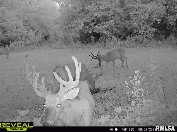 0 County Road 7 Hwy, Cisne, IL 62823