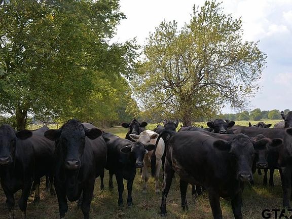5th image of 1159 Tbd County Rd