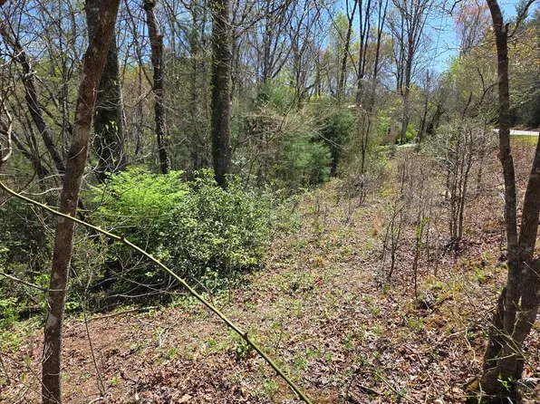 0 Mashburn Branch Rd, Franklin, NC 28734