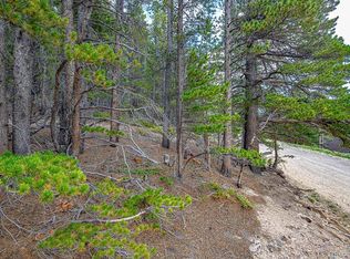 Lot 836 Nebraska Drive LOT 836, Idaho Springs, CO 80452