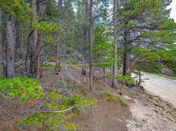 Lot 836 Nebraska Drive LOT 836, Idaho Springs, CO 80452