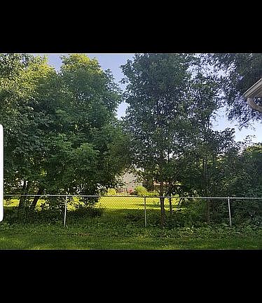 Backyard View