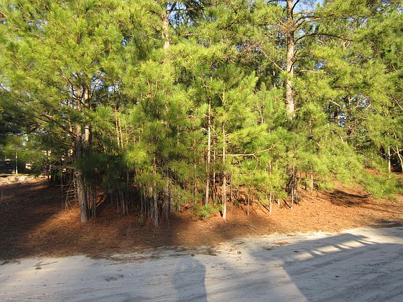 3rd image of 117 Holly Pl