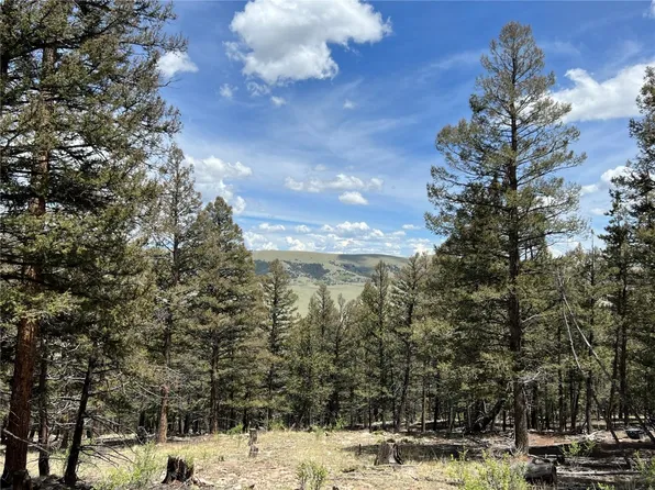 Tbd Middle Fork Vis, Fairplay, CO 80440