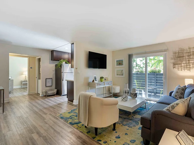 Living Room _ One Bedroom Apartment
