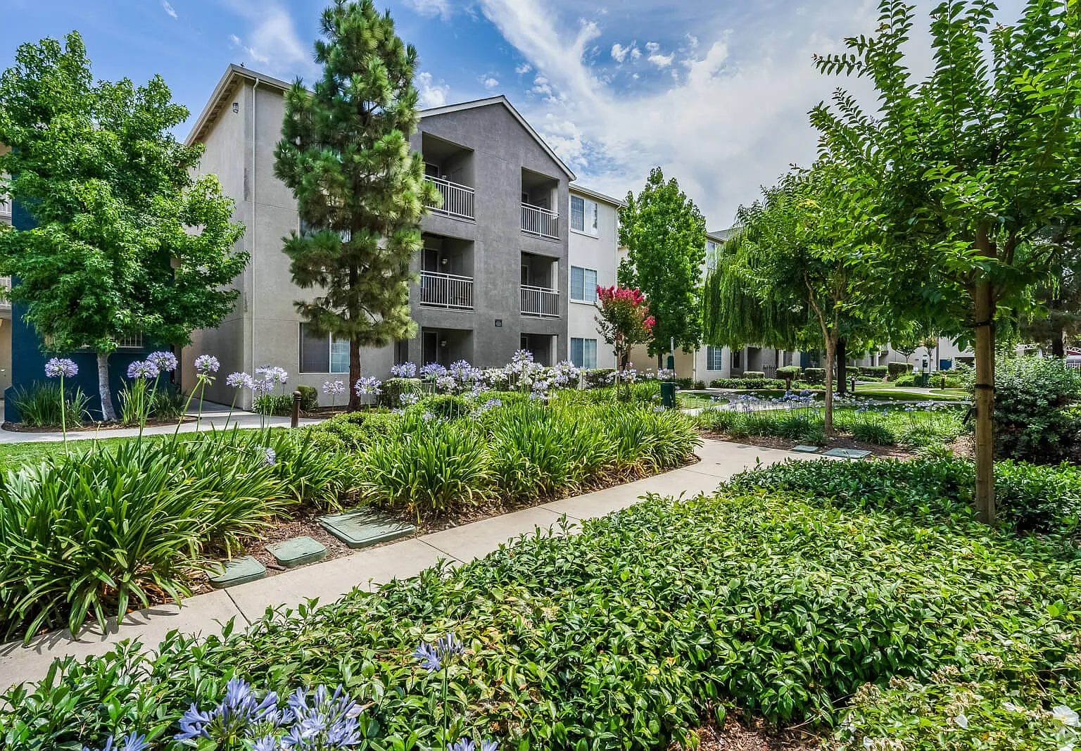 Pavona Apartments — Photo 4