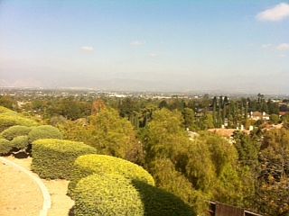 backyard view 