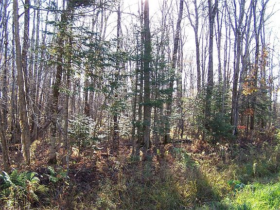 5th image of 0 N South Clover Road