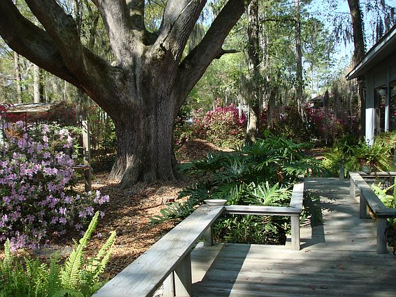 back of house facing West